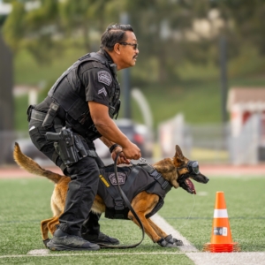 news-lacpca-k9-2025show